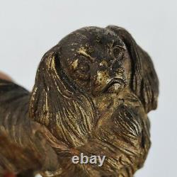 Antique Austrian Cold Painted Bronze Pekingese Dog art Sculpture Figure c1900