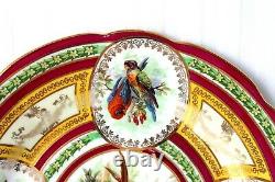 Antique Vienna Imperial Crown porcelain ornithological cabinet plate 1880-1900