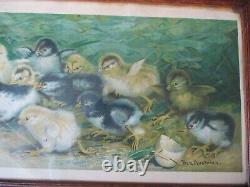 Antique Yardlong Print Litho Battle Of The Chicks Ben Austrian 1902 New York