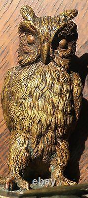 Art Nouveau Austrian bronze Owl On book Sculpture