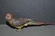 Beautiful Quality Austrian Cold Painted Bronze Statue of a Parrot, c1900