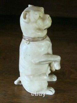 Rare Antique German Austrian Bisque Porcelain Upright Pose Begging Pug Dog c1900